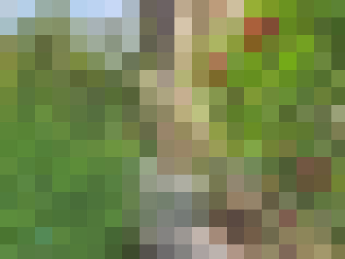  / #15