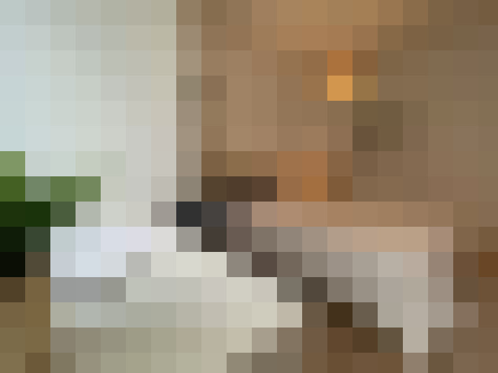  / #8