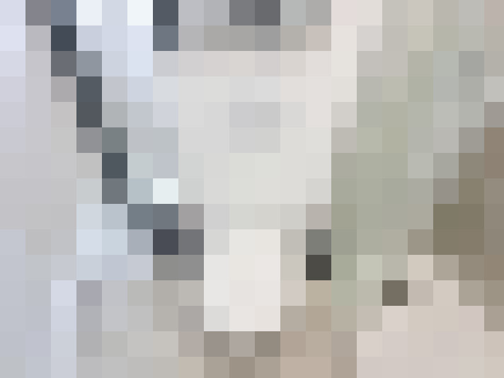  / #14