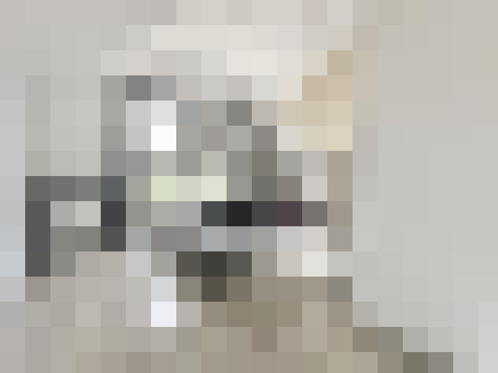  / #20