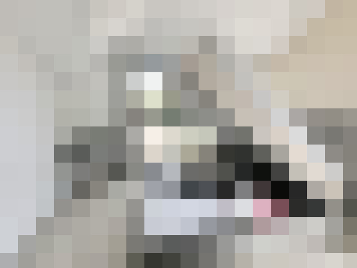  / #21