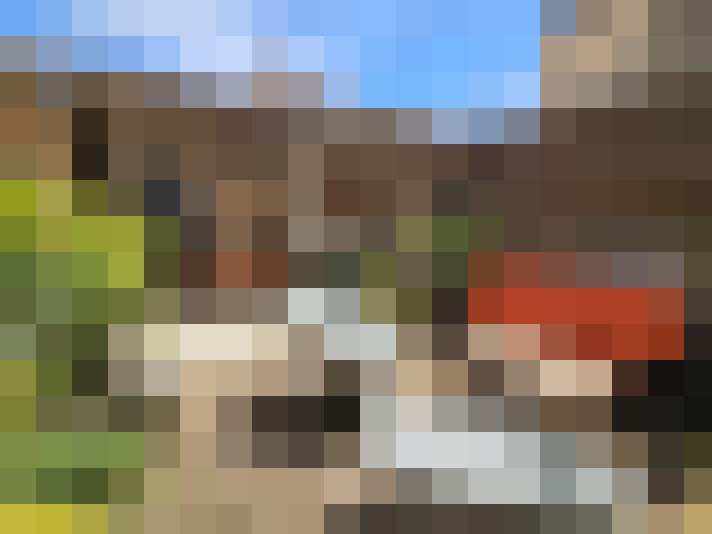  / #15