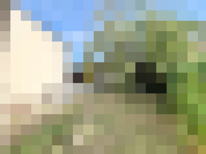  / #13