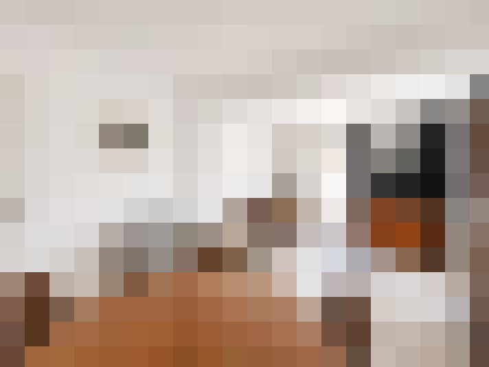  / #6