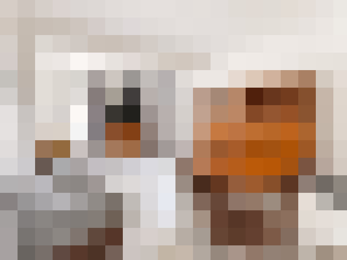  / #11