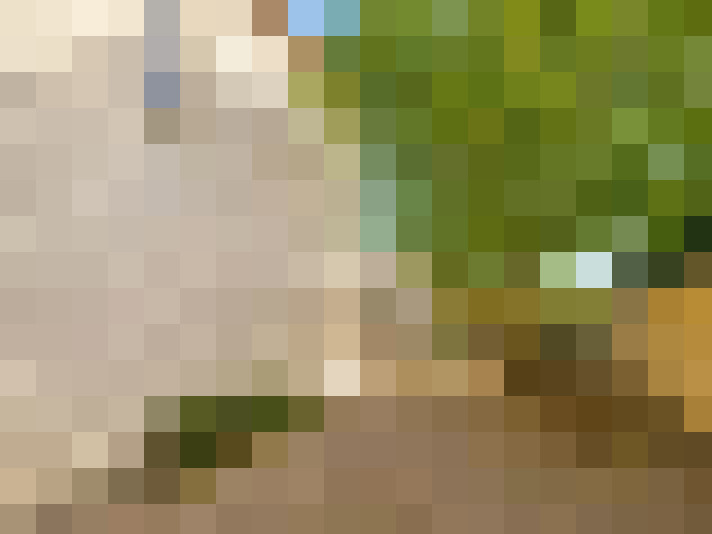  / #14