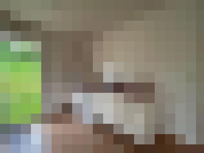  / #8