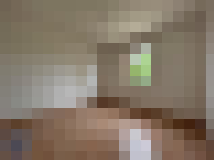  / #11