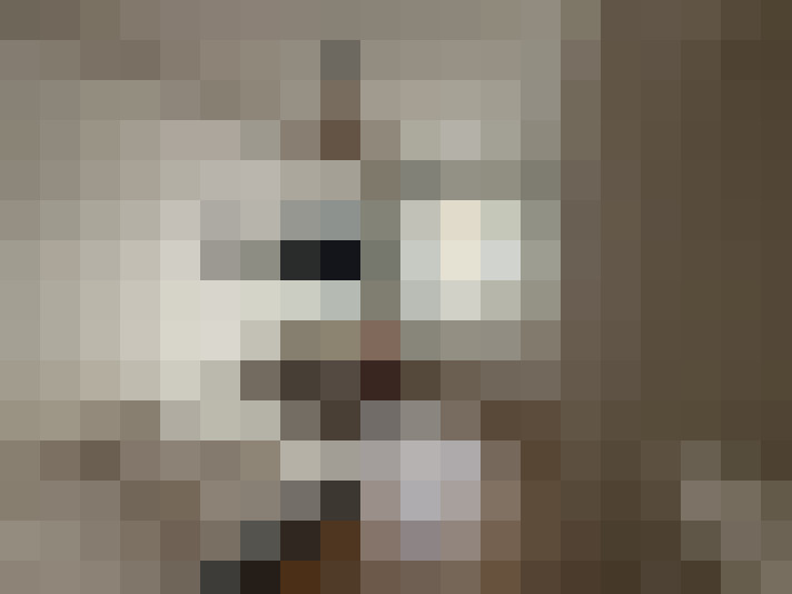  / #6