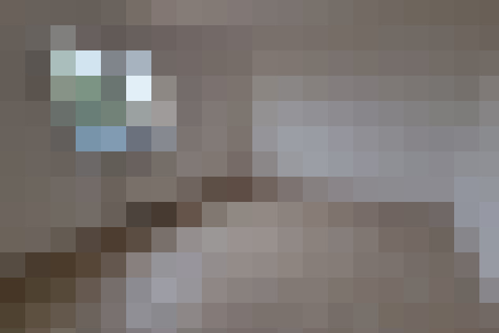 / #15