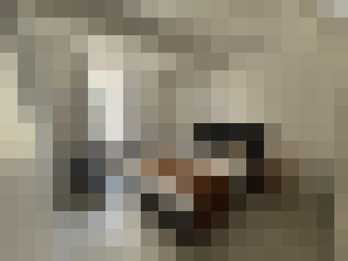  / #7