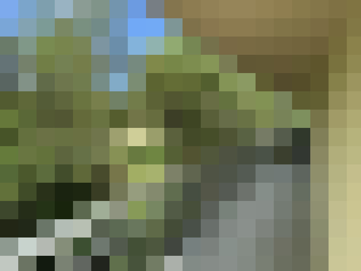  / #6