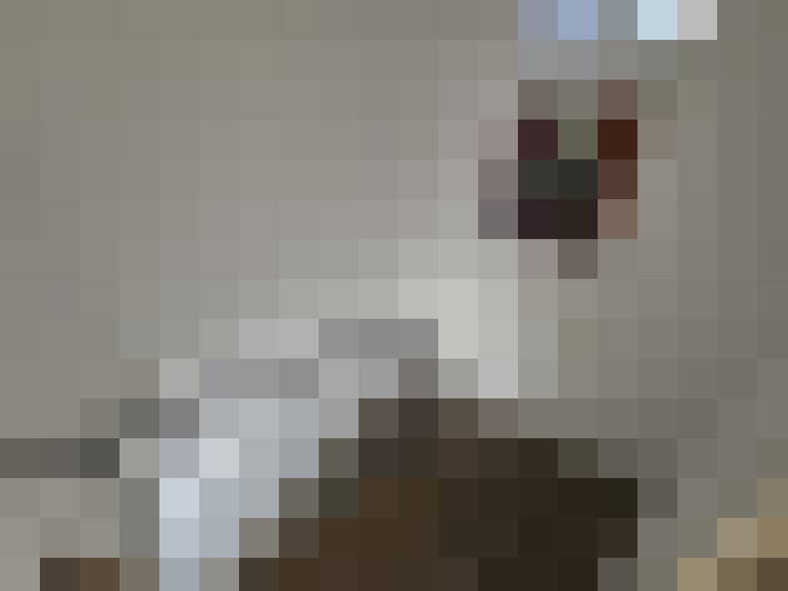  / #10