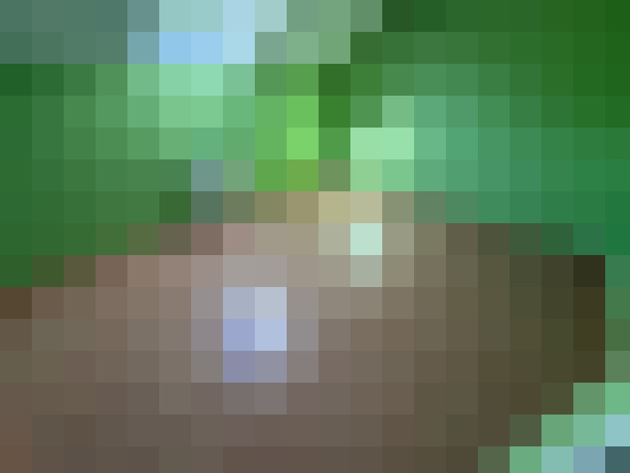  / #9