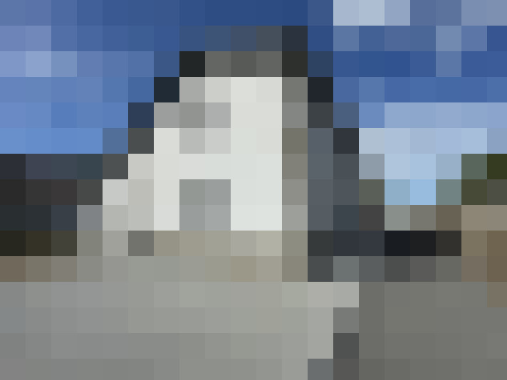  / #12