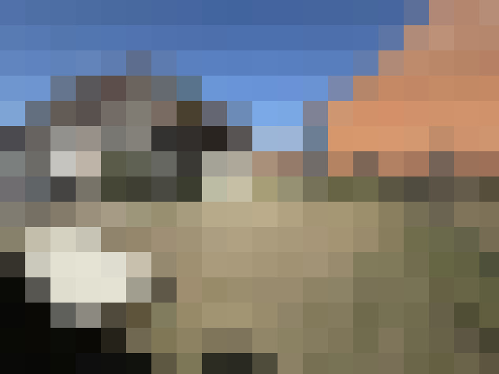  / #13
