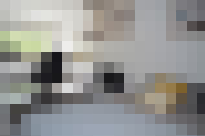  / #11