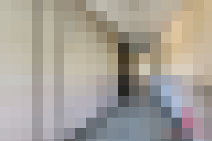  / #15