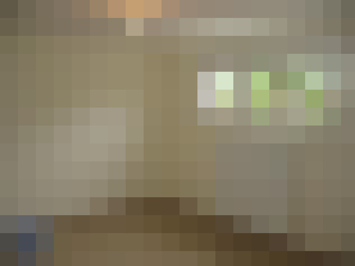  / #19
