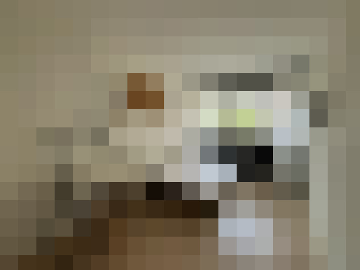  / #14