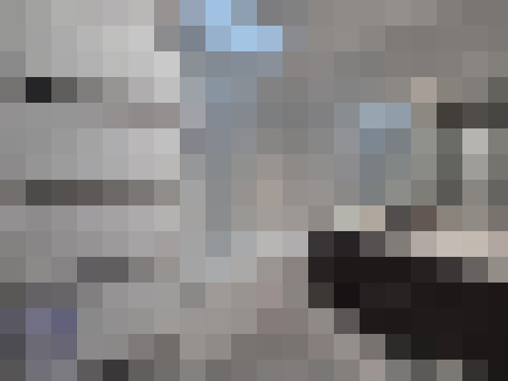  / #15