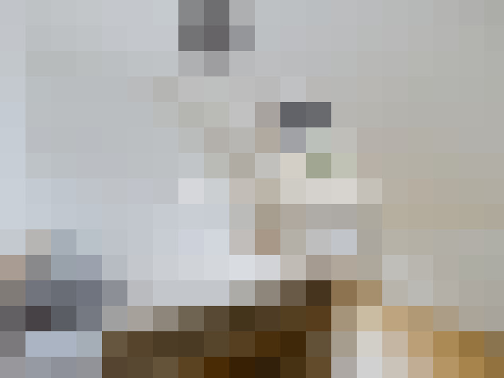  / #8