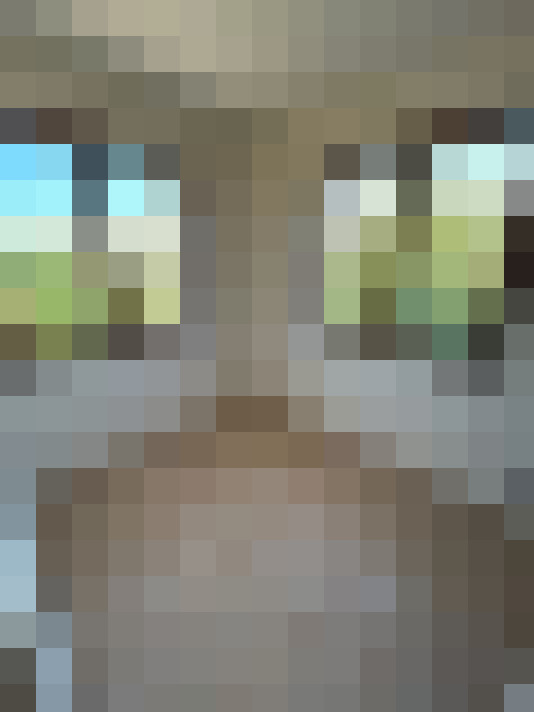  / #15