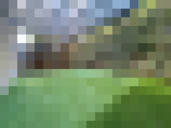  / #12