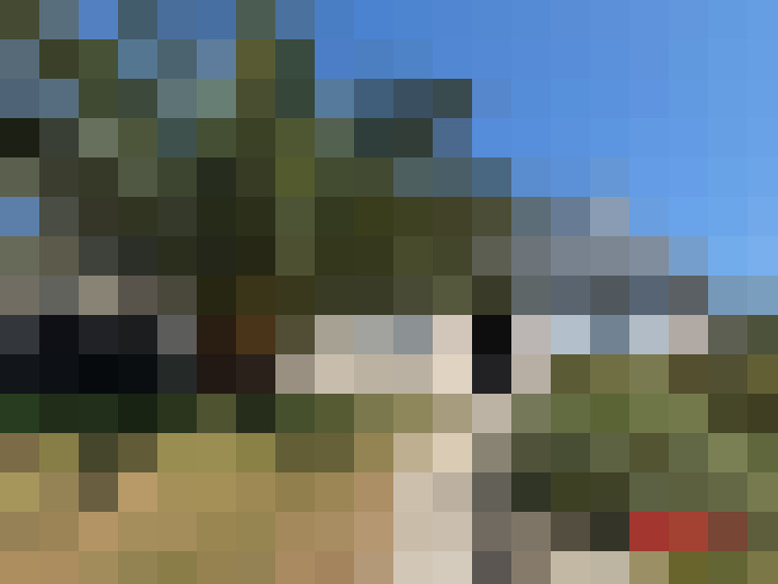  / #12