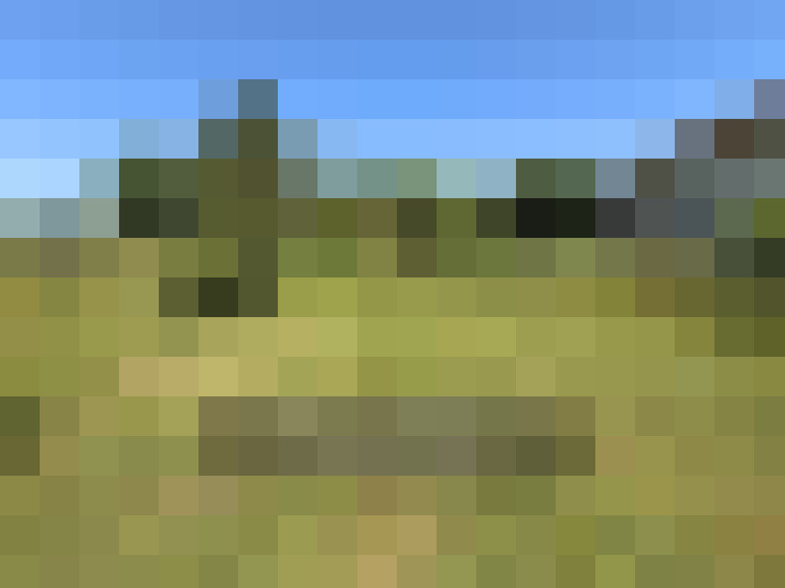  / #12