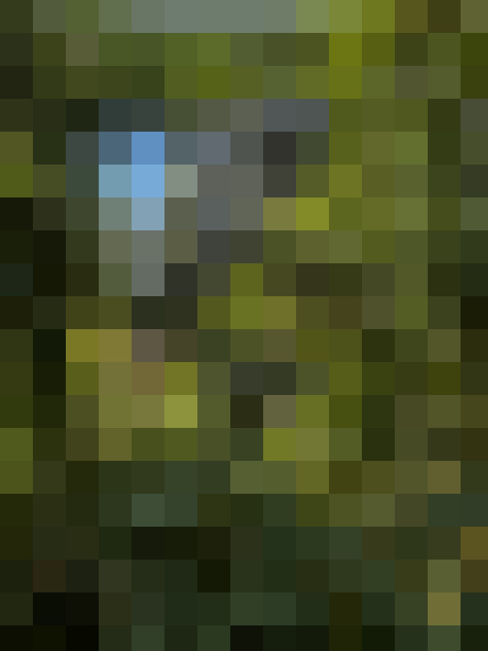  / #16