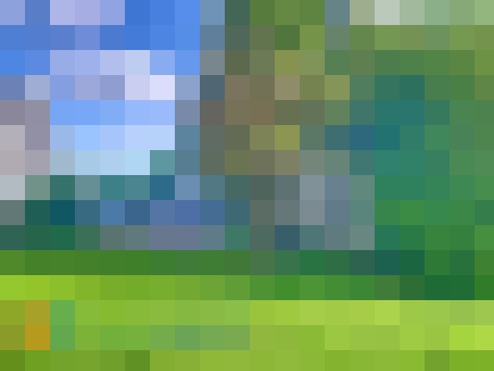  / #11