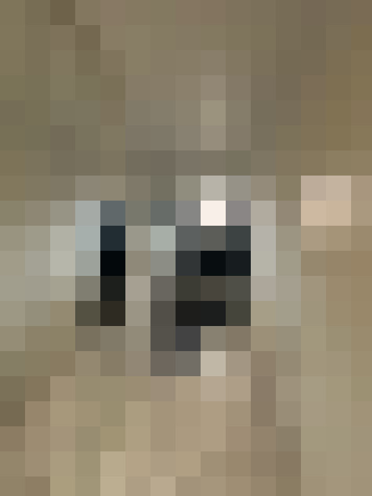  / #8
