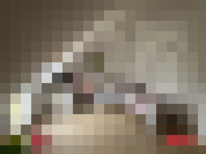  / #8