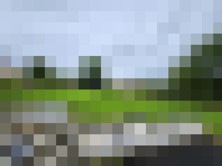  / #16