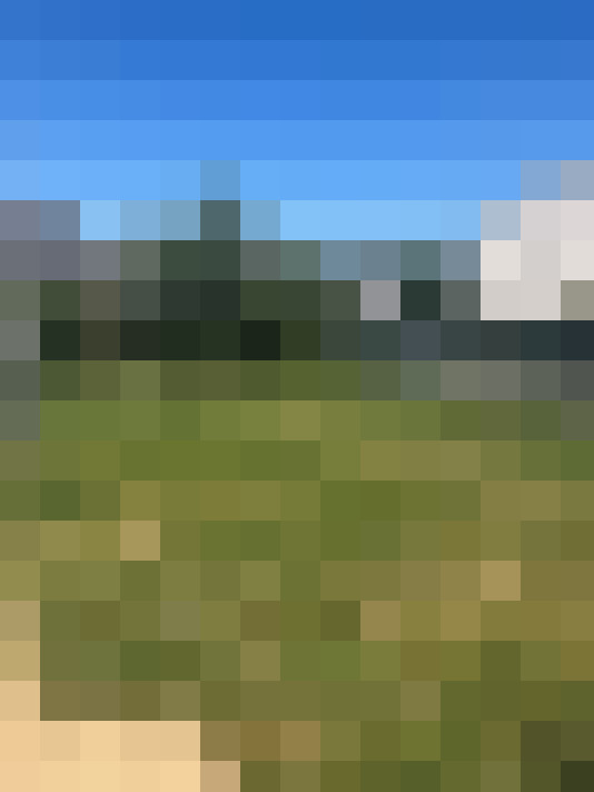  / #16