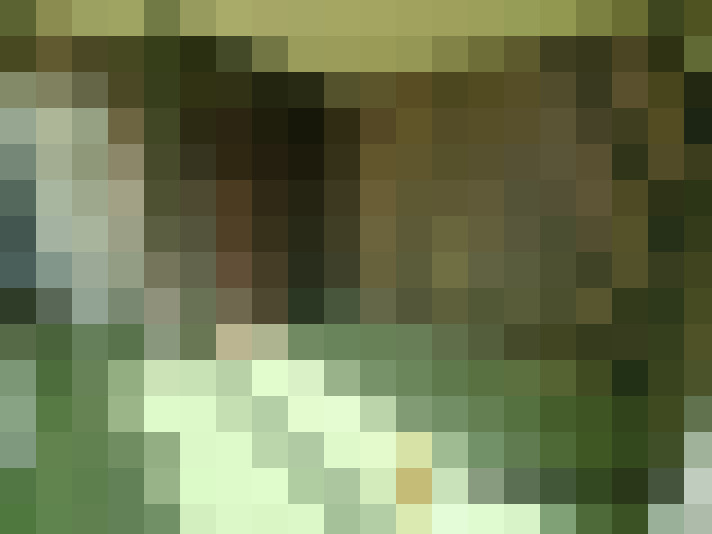  / #8