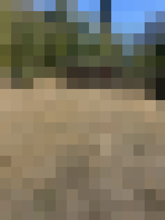  / #14