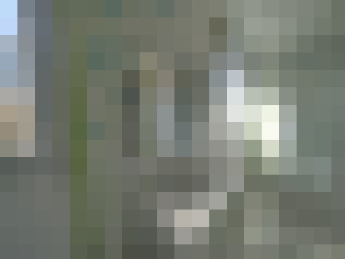  / #14