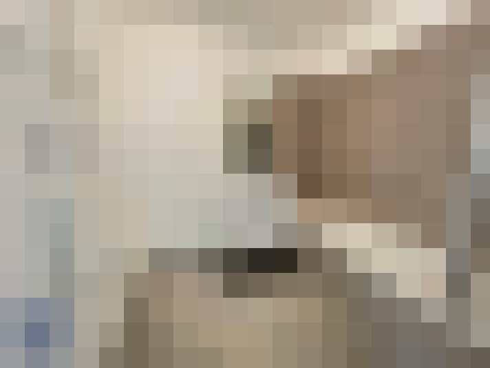  / #11