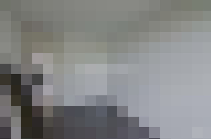  / #15