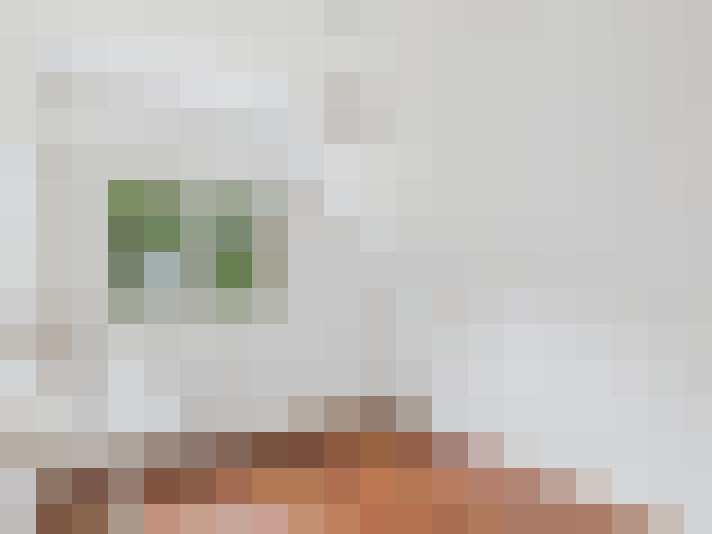  / #11
