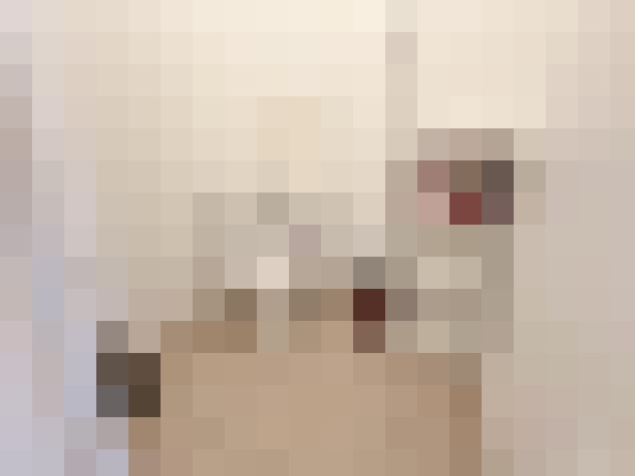  / #8