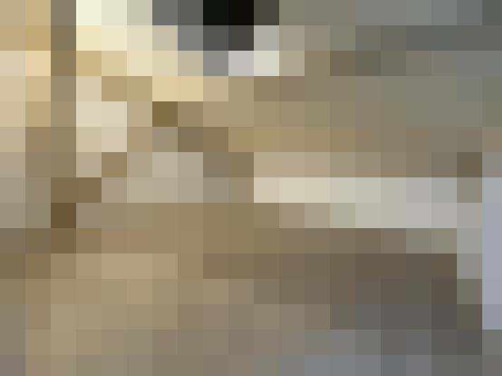  / #21