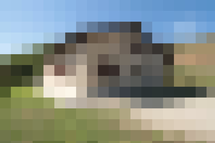  / #12