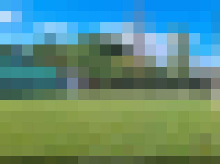  / #7