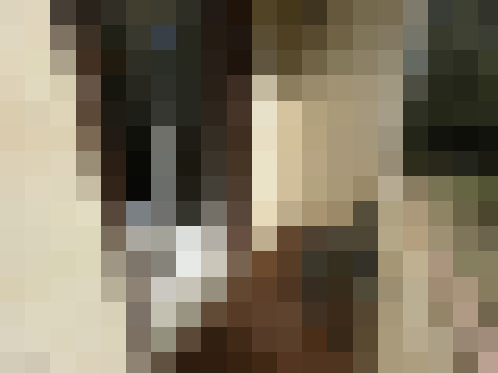  / #9