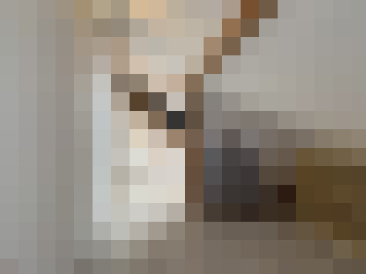  / #7