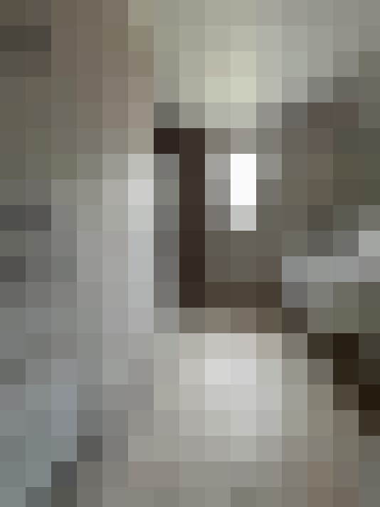  / #12