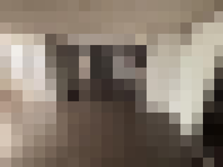  / #22